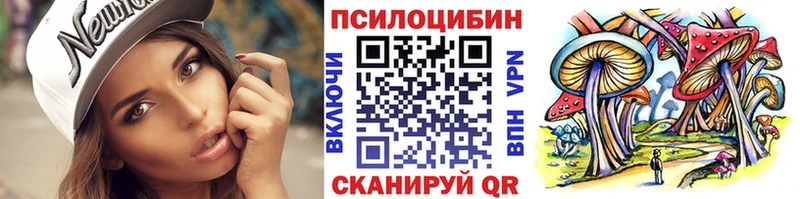 Галлюциногенные грибы Psilocybine cubensis  продажа наркотиков  Южа 